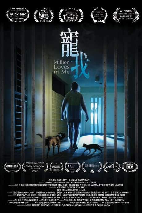    A film about power, love, delusion, confinement delivered through the not-so-ordinary relationship between a mother and daughter.  